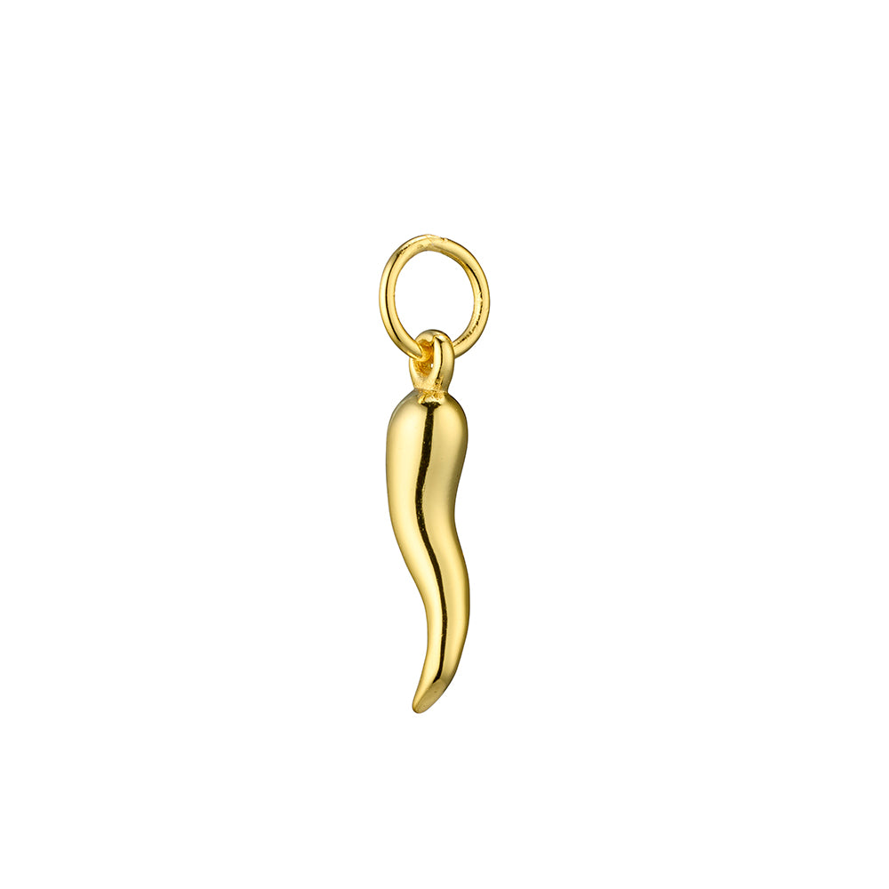 Sterling Silver Chilli pepper pendant.