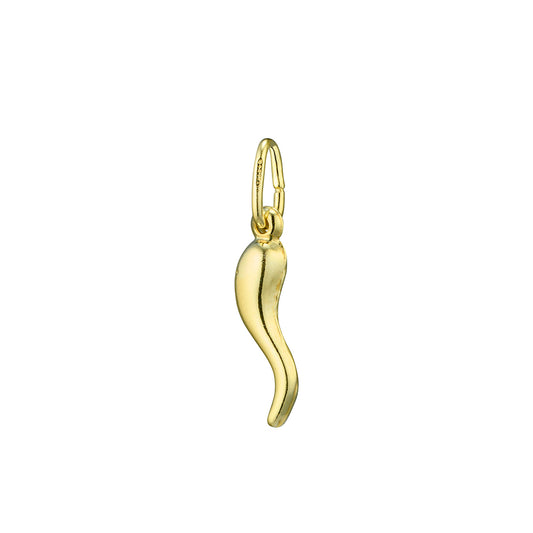 Sterling Silver Chilli pepper pendant.