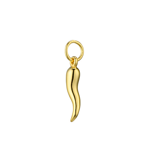 Sterling Silver Chilli pepper pendant.